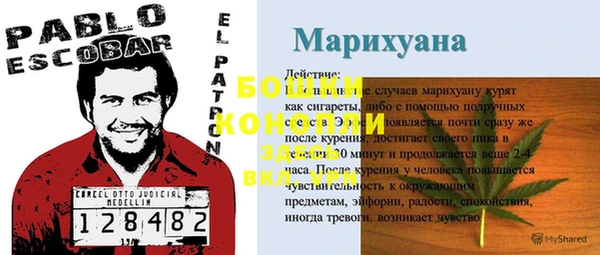 СК Волосово