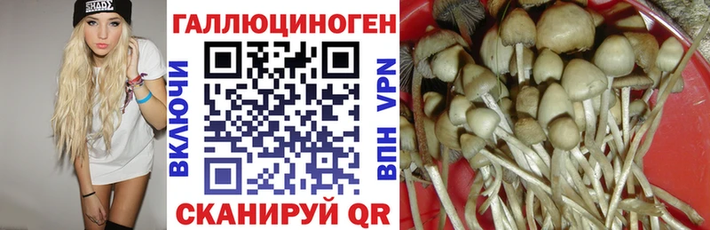 Галлюциногенные грибы прущие грибы  Купить где  Луза 